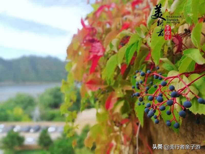 开元森泊度假酒店1848元2晚,599元2晚洲际酒店