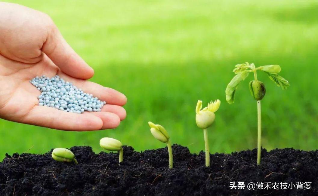 硫酸钾复合肥跟复合肥什么区别,硫酸钾复合肥与硫酸钾型区别