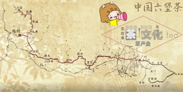 三鹤杯2024年梧州六堡茶斗茶大赛,2022年梧州六堡茶民间斗茶大赛