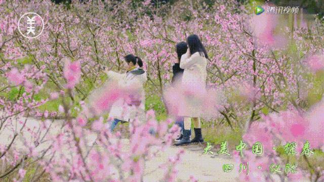 仪陇春天美景,仪陇县夜景震撼上央视