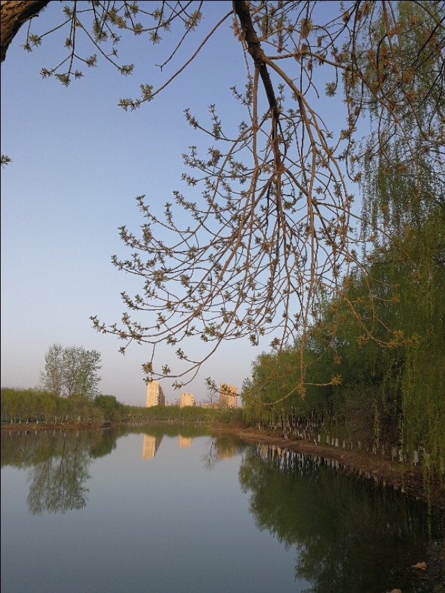 台式电脑可以换cpu升级吗,电脑升级如何更换cpu