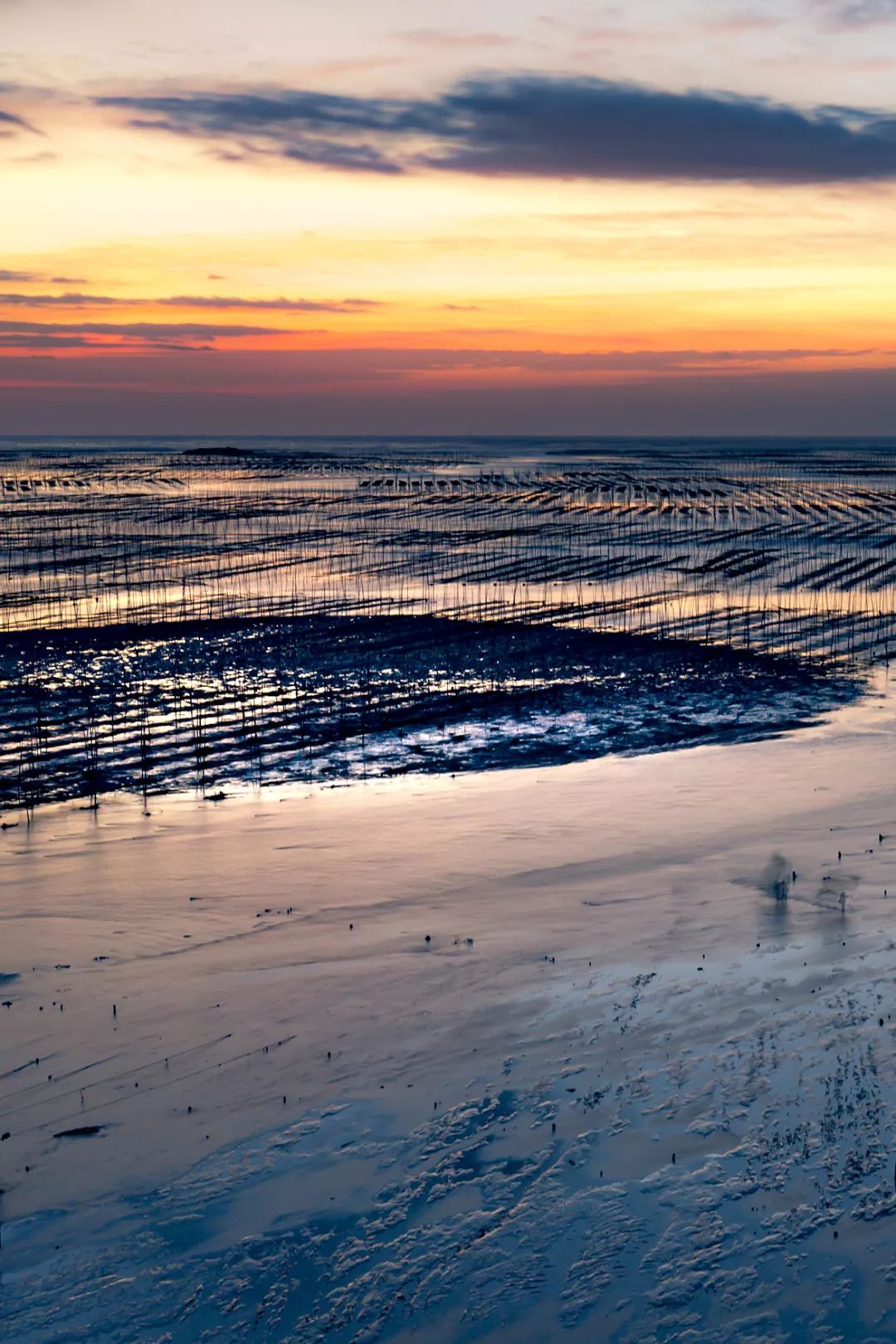 记忆中的宁德美食,福建宁德吃海鲜去哪里