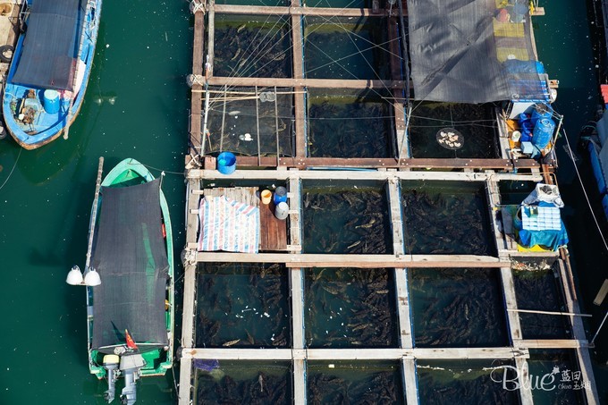 三亚南湾猴山岛,三亚南湾猴岛好玩的地方