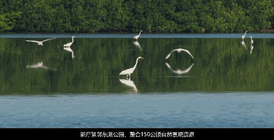 玫瑰花海里领结婚证！罗湖区婚姻登记处新址的设计有点甜！