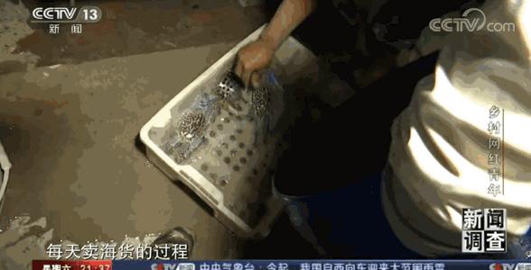 “渔人阿烽”上央视，讲述西瓜视频赶海创作者的成长史