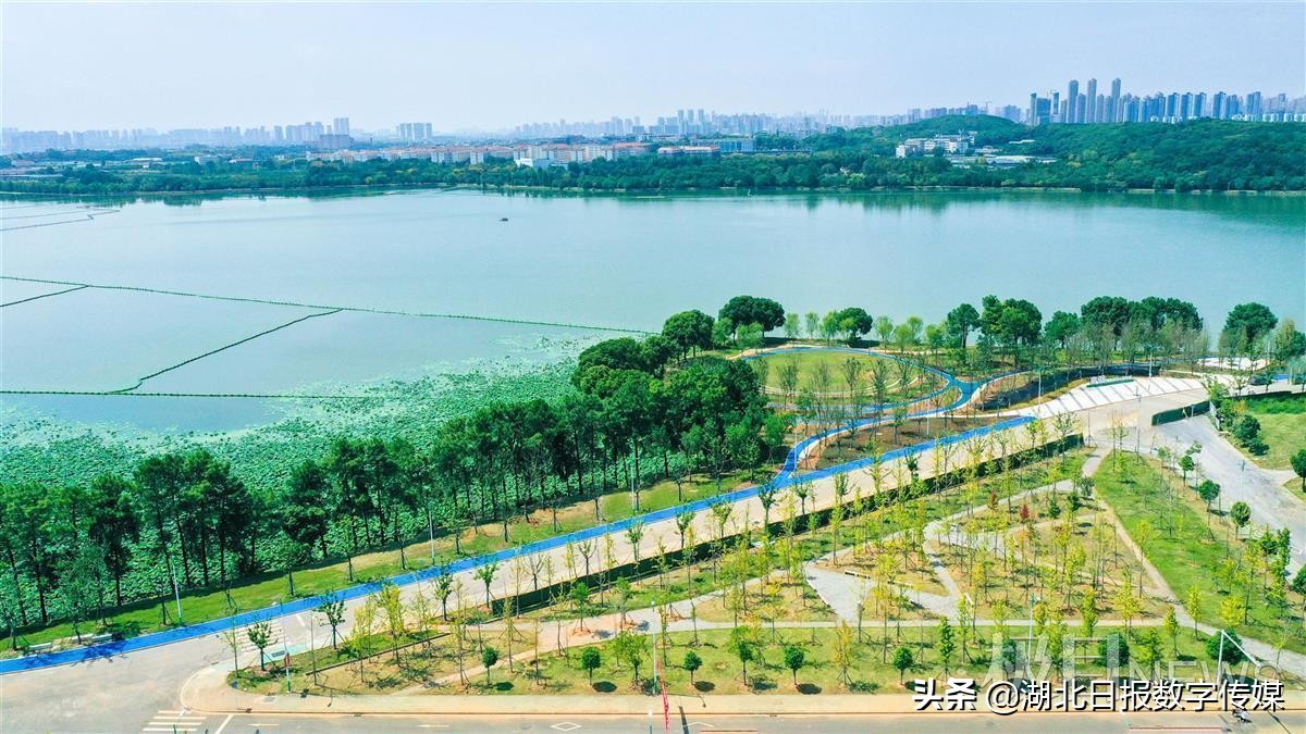 涓崡璐㈠ぇ鍗楁箹缁块亾,璐㈠ぇ鍗楁箹缁块亾