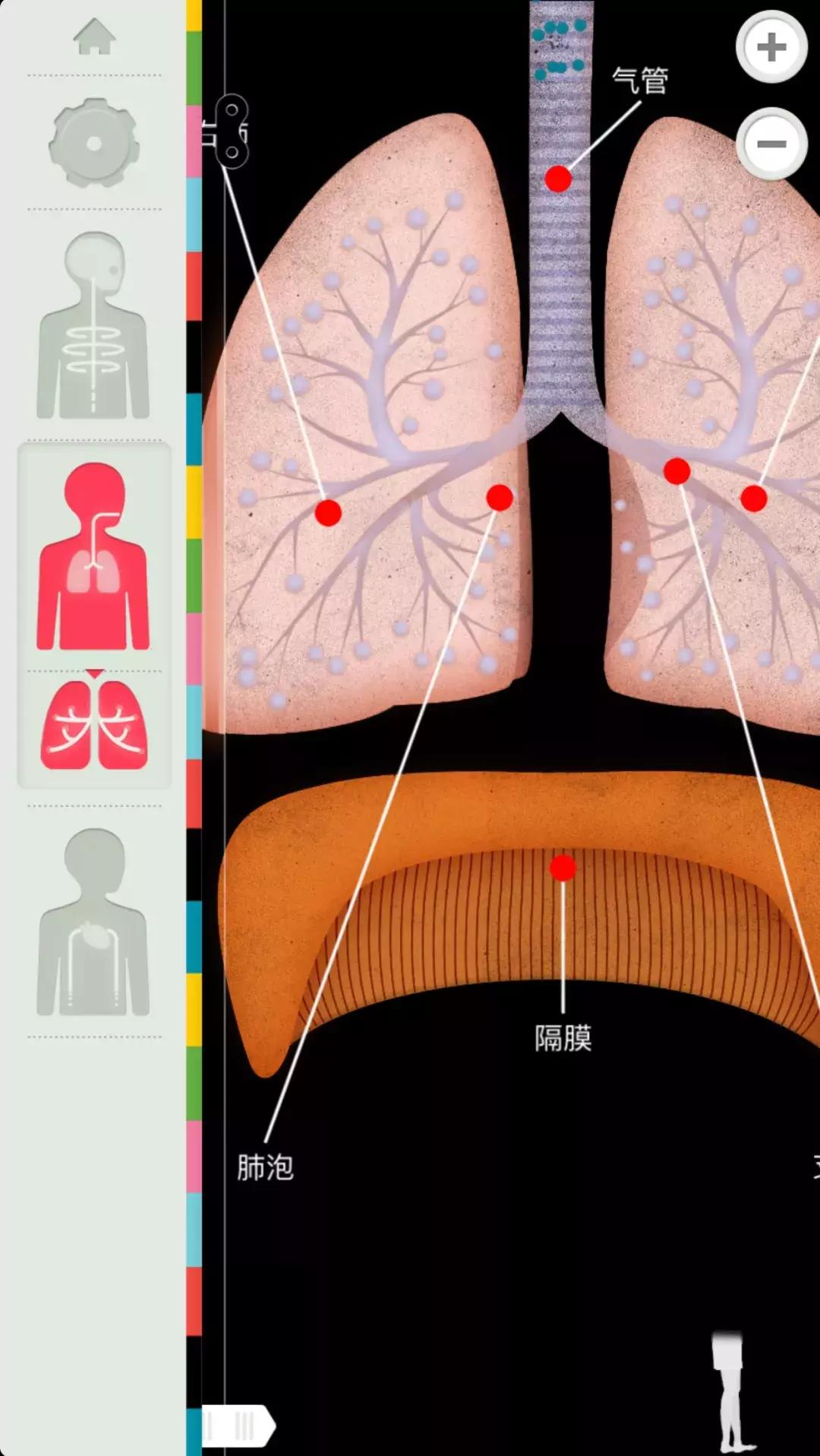 科学爱好者必备的app,有什么科学科技类app推荐