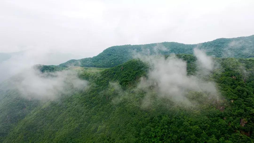 森林负离子度假酒店,负氧离子氧吧酒店