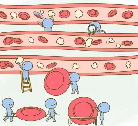 产检血常规怎么看,产检血常规化验单怎么看