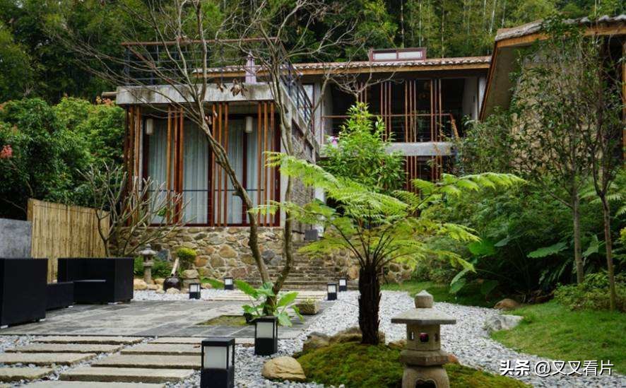 《鬼片逃生大全》:4招教你搞定《咒怨》《山村老尸》里的恶鬼