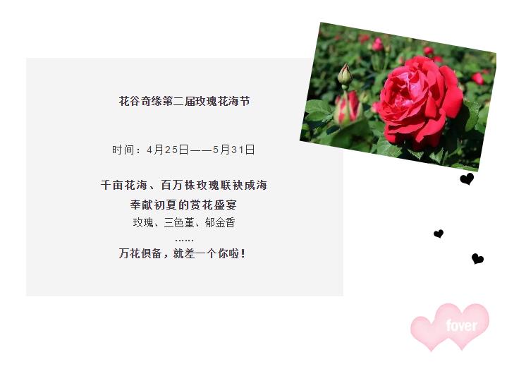 槽糕，是心动的感觉！这个神秘花谷正在悄然绽放！走，去拍照～