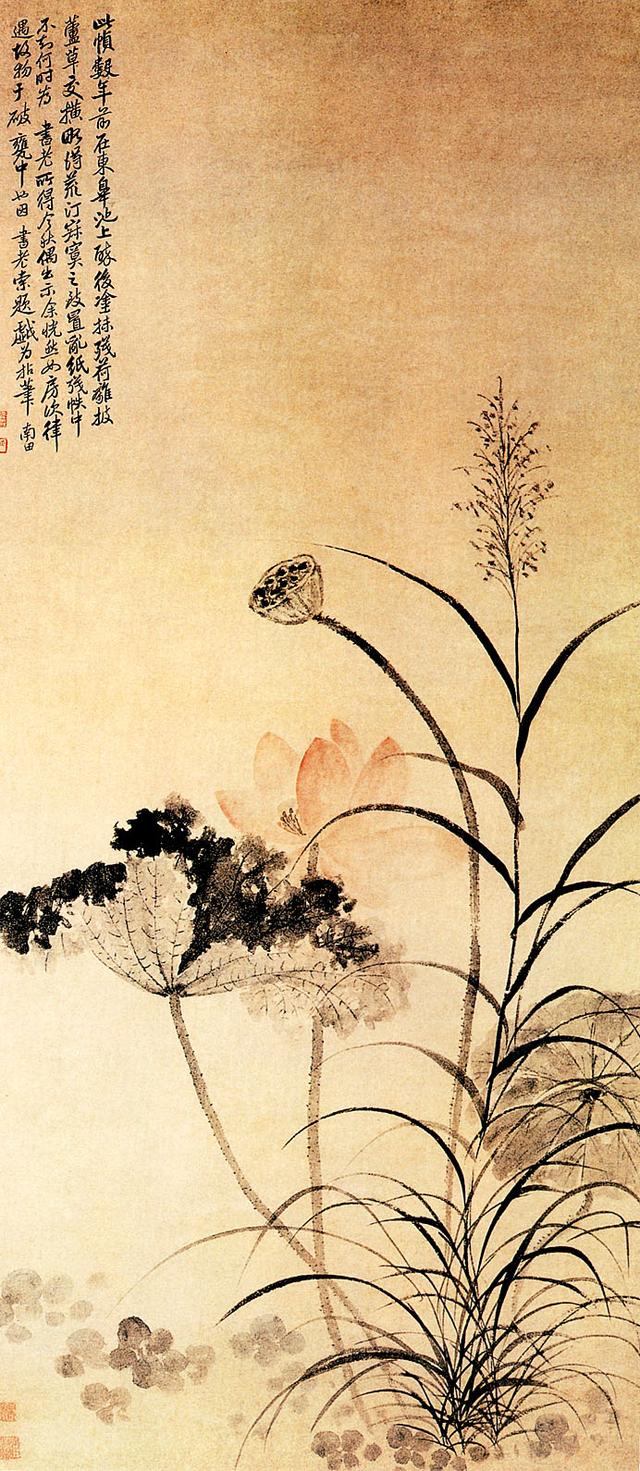 「转」这么美的荷花，千年荷韵