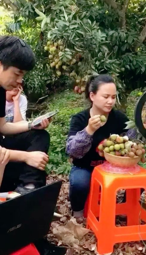 广西有哪些城市以前属于广东的,广西是荔枝之乡吗