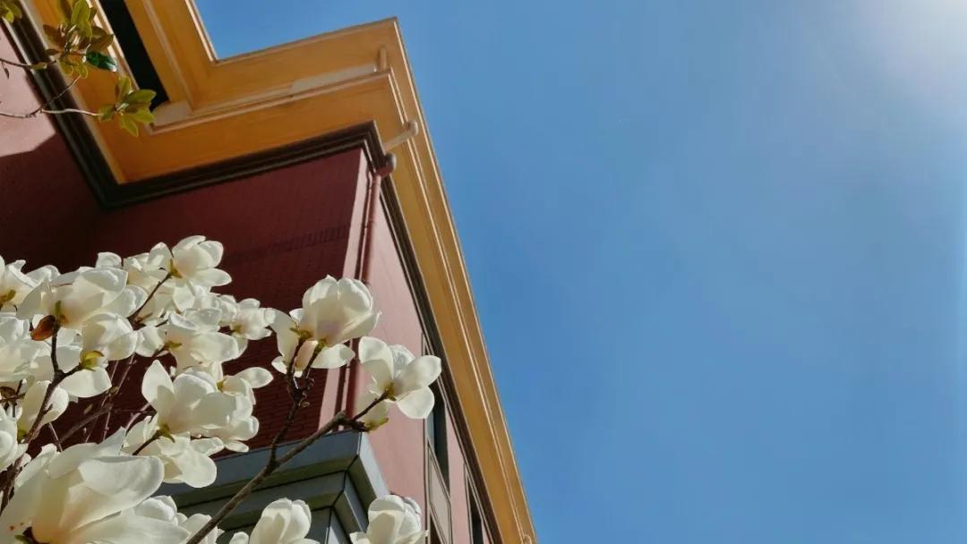 河南省实验学校许昌中学官网,2017许昌实验中学招生