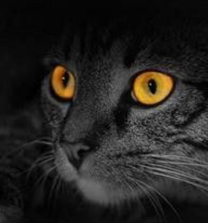 怎样才能看懂一个人的心,男人的心谁能看懂