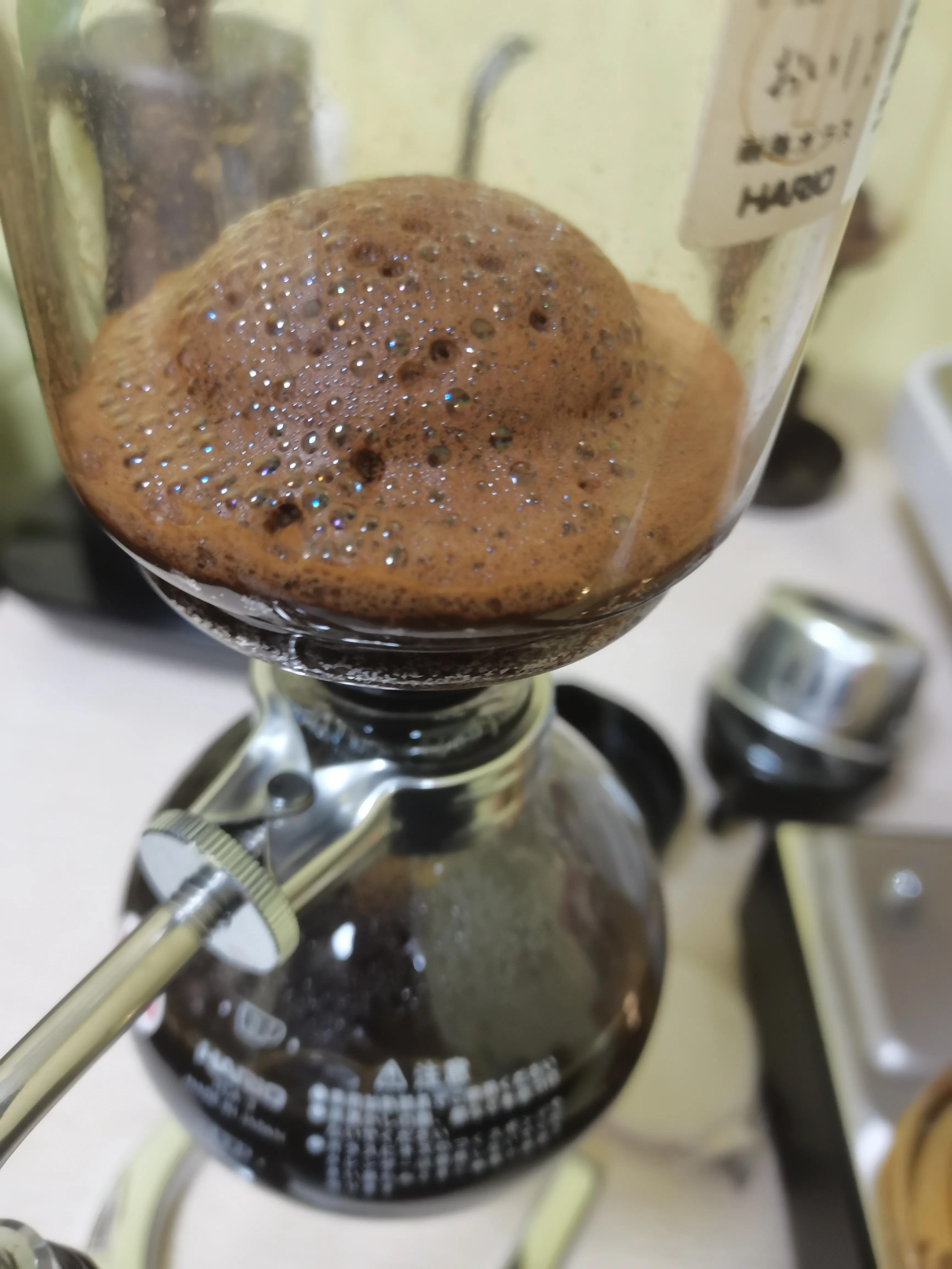 正宗黄金蜜魏夏,一个咖啡达人泡咖灰