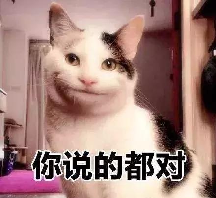 易建联训练间隙喝蛋白粉,易建联喝蛋白粉是什么牌子