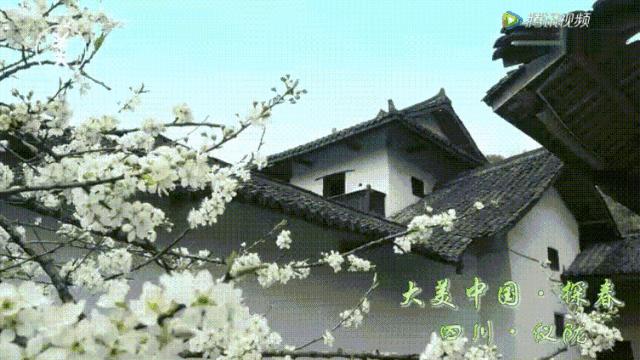 仪陇春天美景,仪陇县夜景震撼上央视