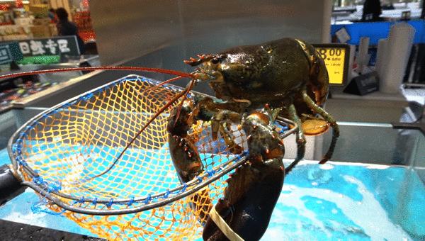 三江购物有希望么,三江购物有新增加门店吗