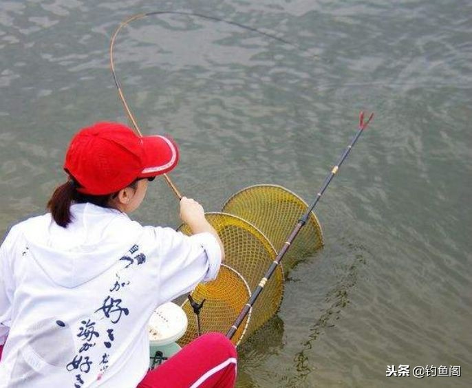 各种鱼竿怎么选,如何选择合适的鱼竿