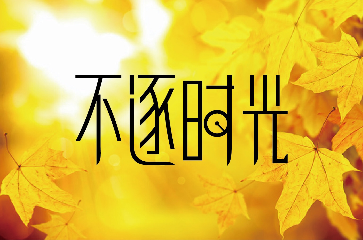 不吹不黑,最中肯的手机购买指南