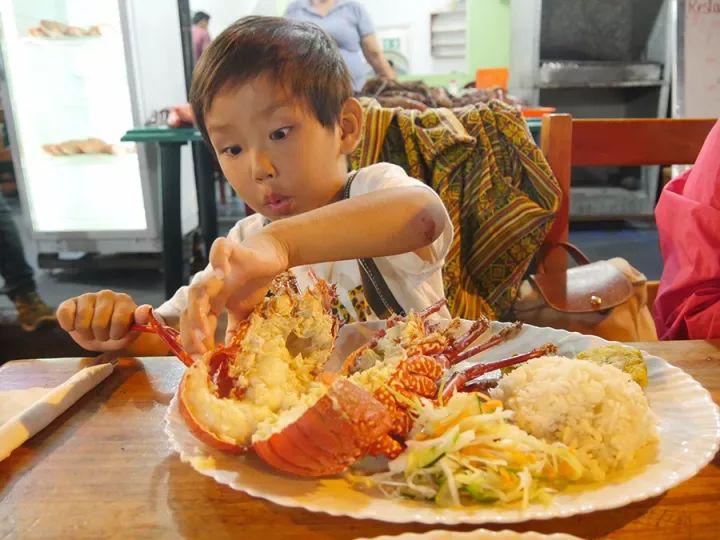 他叫辛巴,不是狮子王,8岁穿越12国:最好的教育,永远在路上