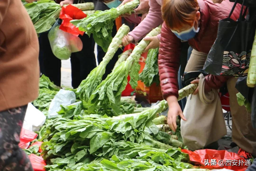 在西安,你一定要逛一次万寿路的早市