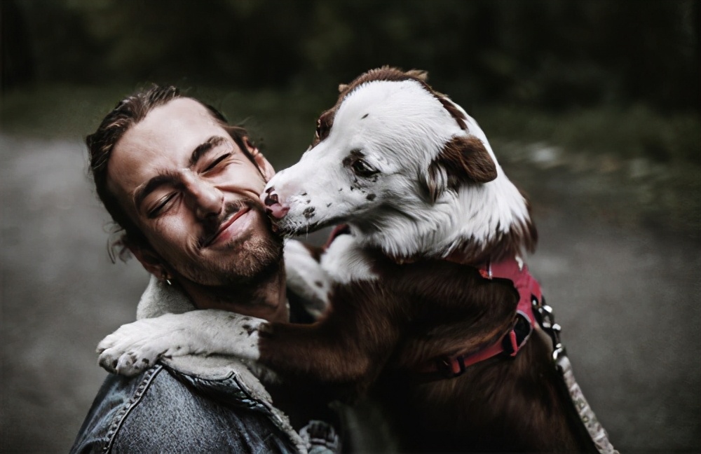 狗想让主人知道的十件事,狗狗想念主人的六件事