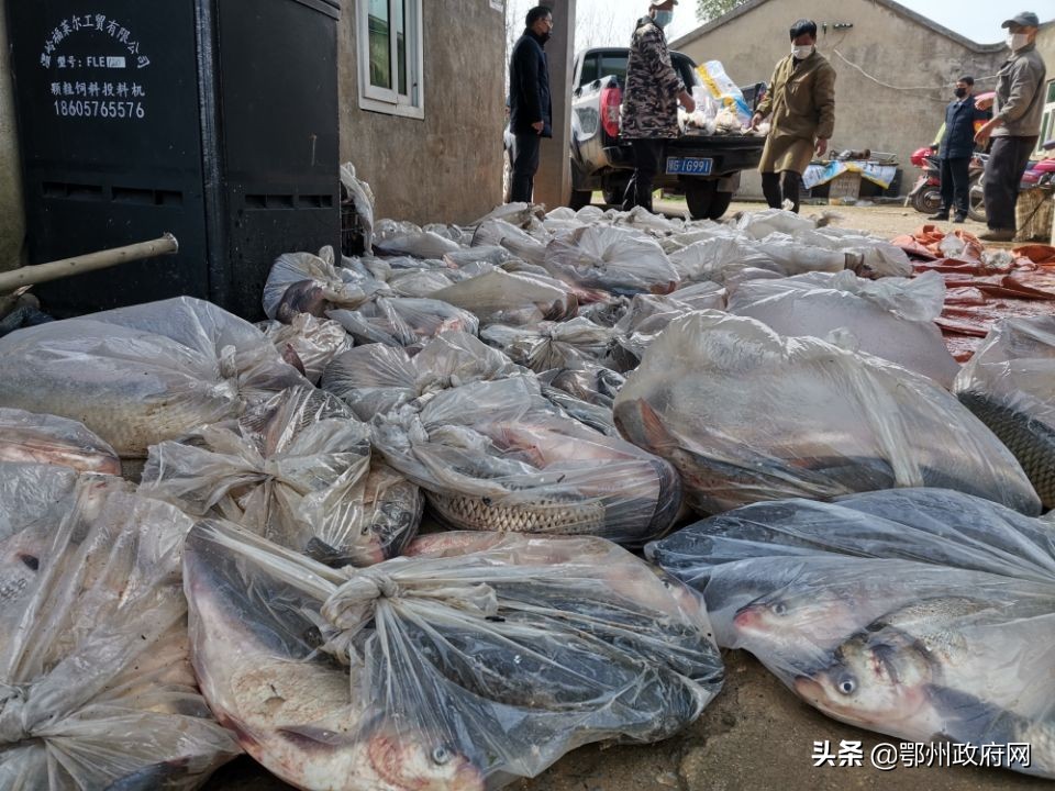 鄂城区采购,鄂城食材配送