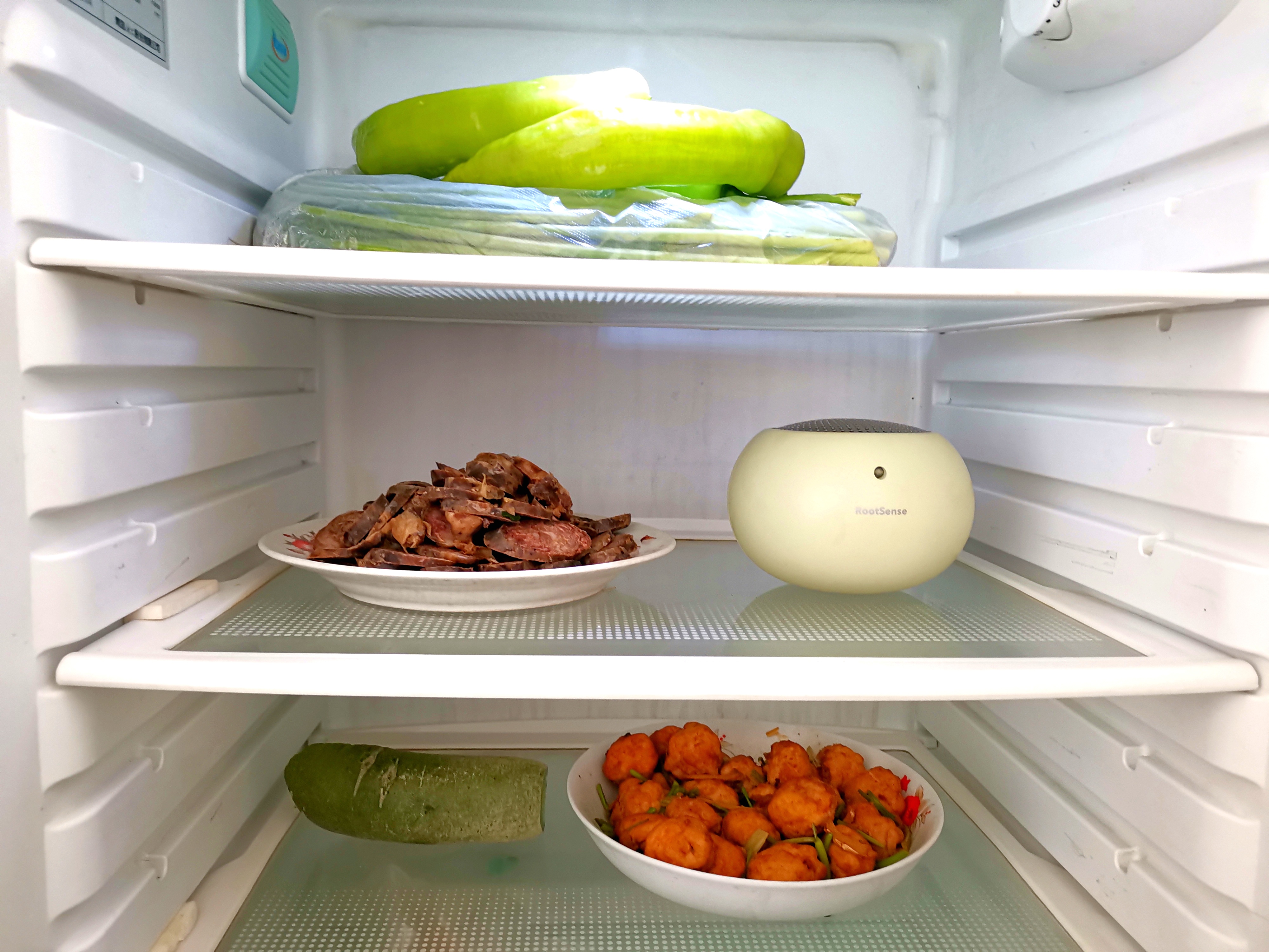 冰箱食品安全由它来守护,冰箱怎么保护食品健康安全