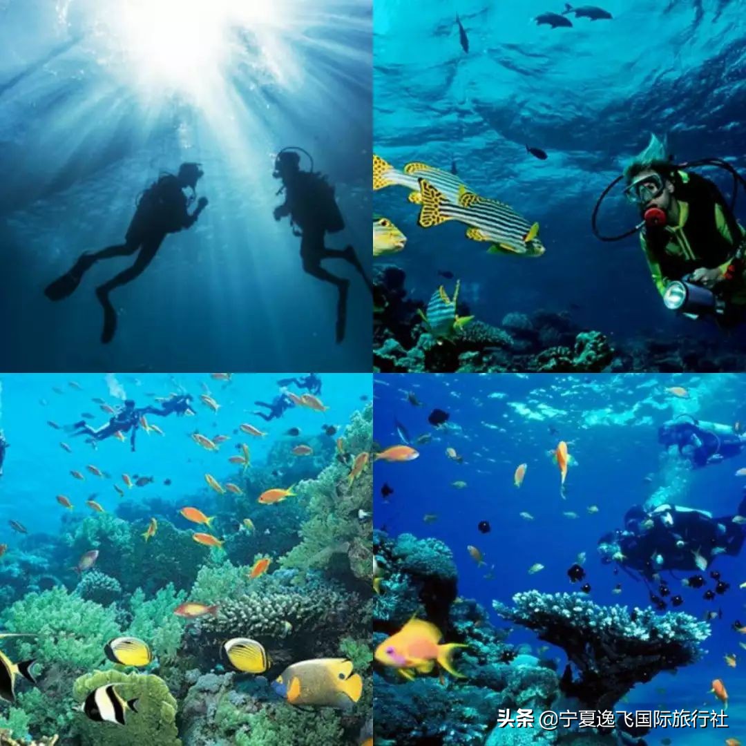 越南芽庄海岛推荐,越南芽庄完美的度假胜地