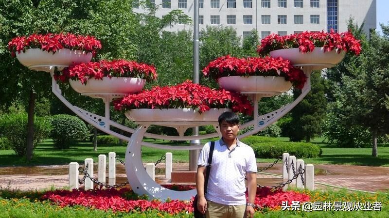 校园绿化思路,校园绿化设计方法