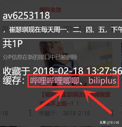 查看b站缓存视频,查看b站失效稿件