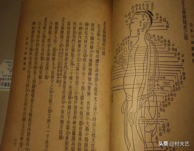 中医古籍伤寒论正版多少钱1本,中医古籍伤寒论