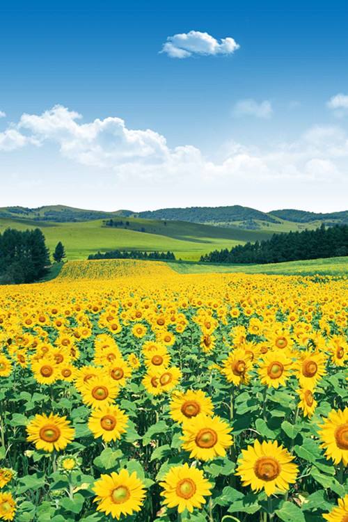 把班主任摄像头恢复出厂,班主任到底要不要监控