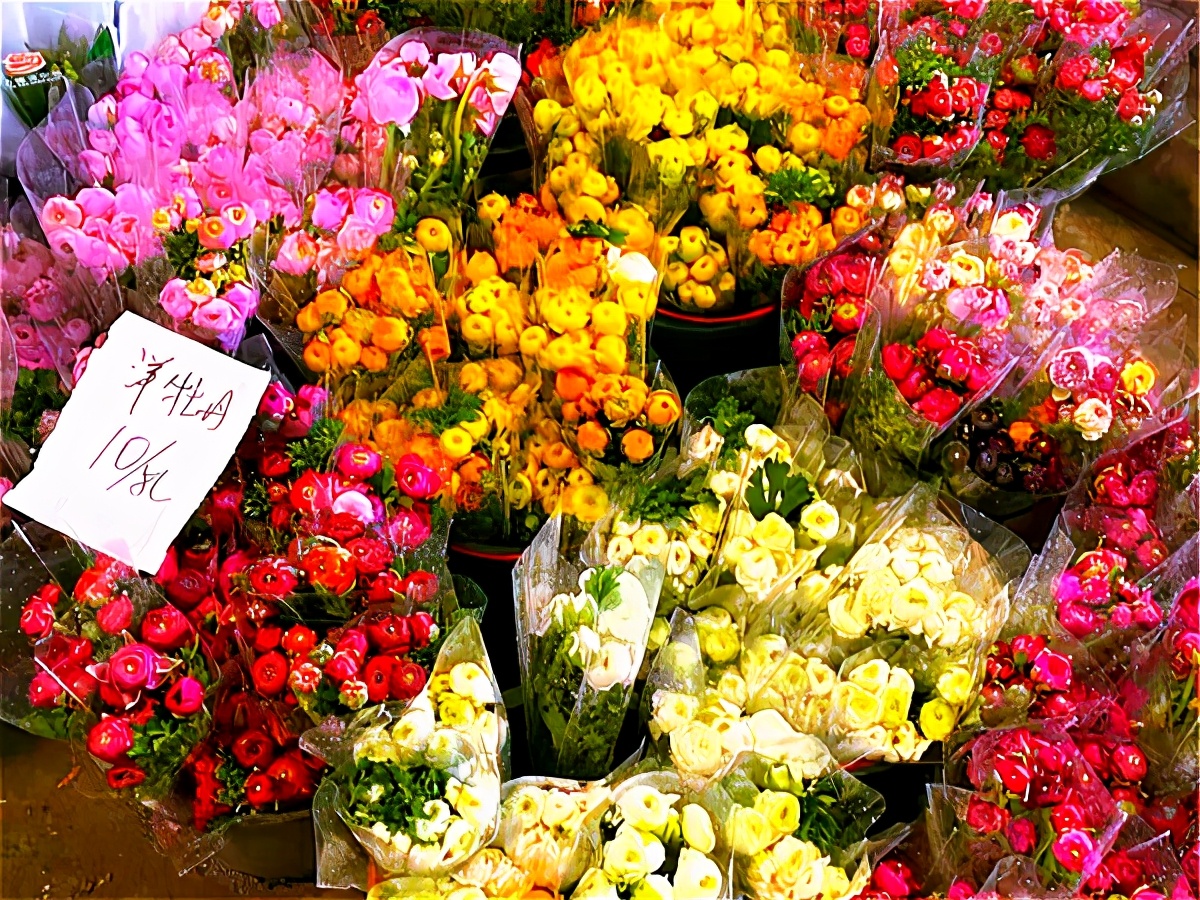 春天去花市买什么花最便宜 (10月适合在花卉市场买的花)