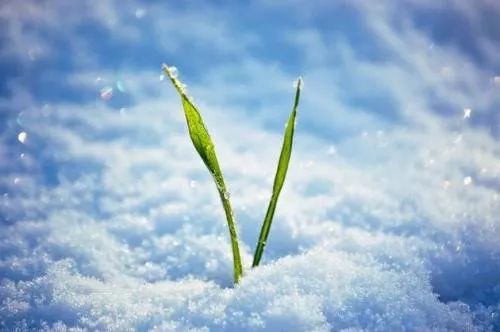 店面选址没选好如何盘活,选址不好店铺怎么挽救