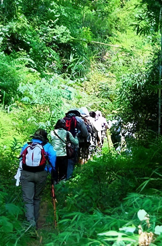 广东周边温泉旅游景点大全,拓展基地景区