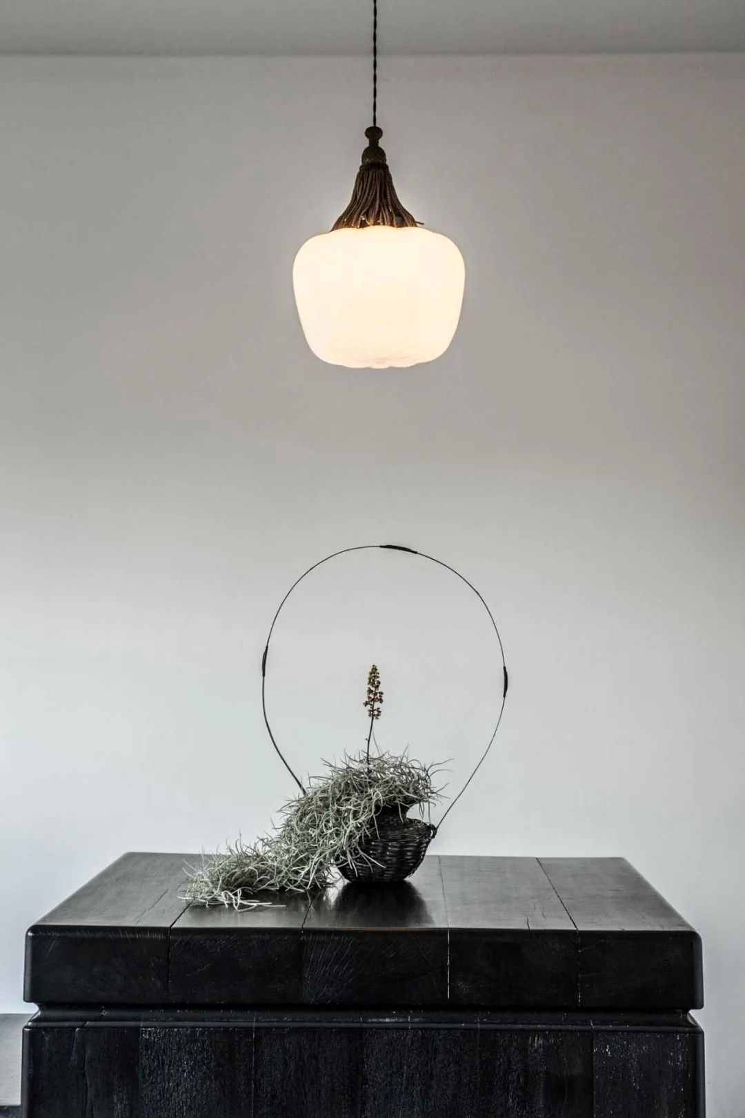 金盆洗手吧，植物杀手们