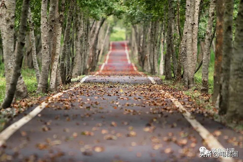 通力收购蒂森迅达,日立电梯与迅达电梯