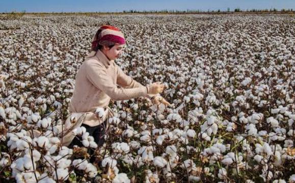 埃及三大军事强国,埃及曾经是世界第一强国吗
