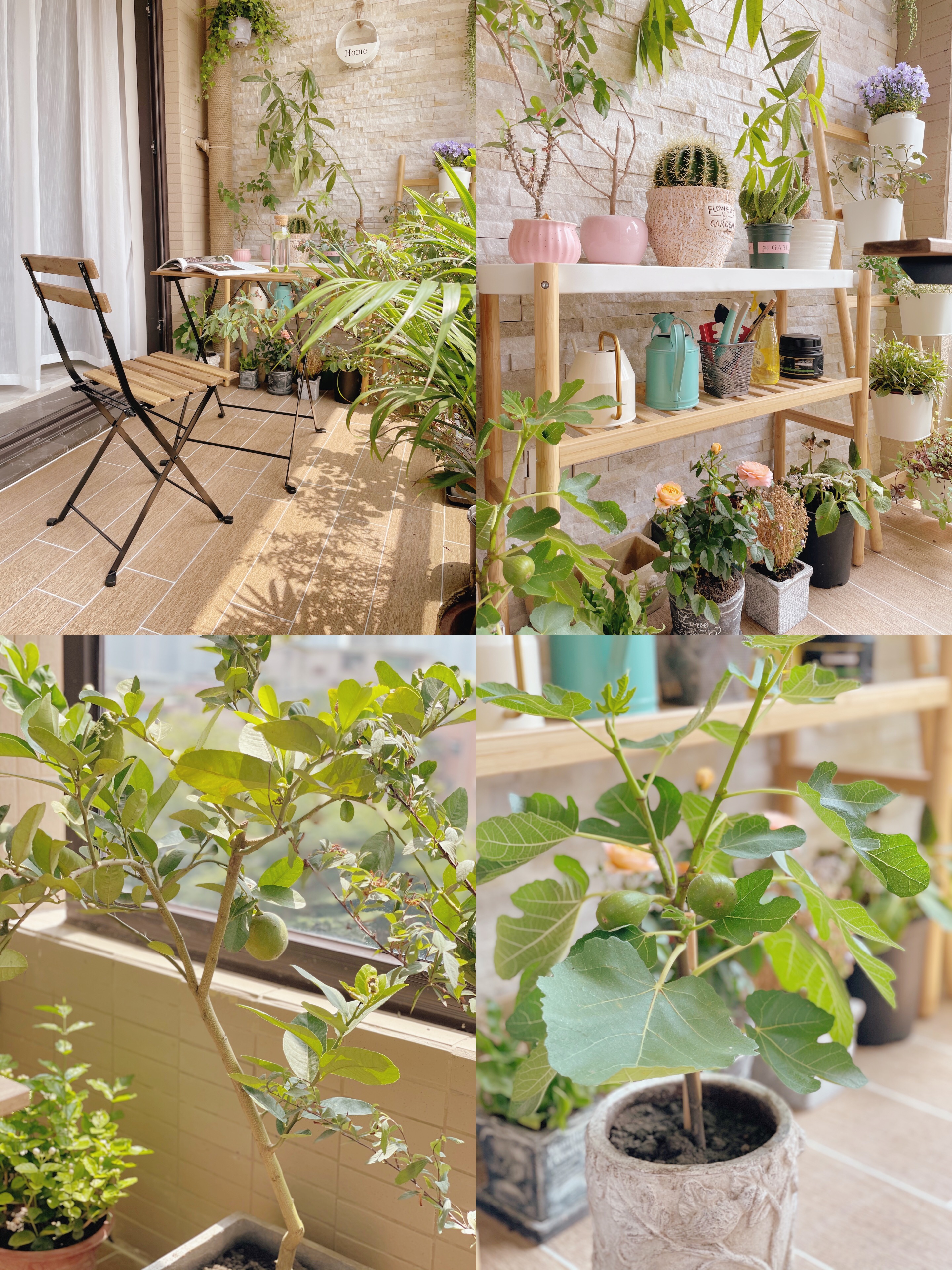 阳台改造拆掉洗衣机柜,阳台花园洗衣机改造