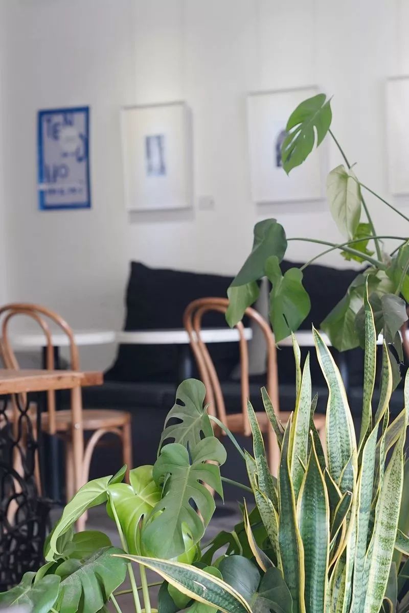 健康路熟不熟？这8家店你未必都吃过哇？