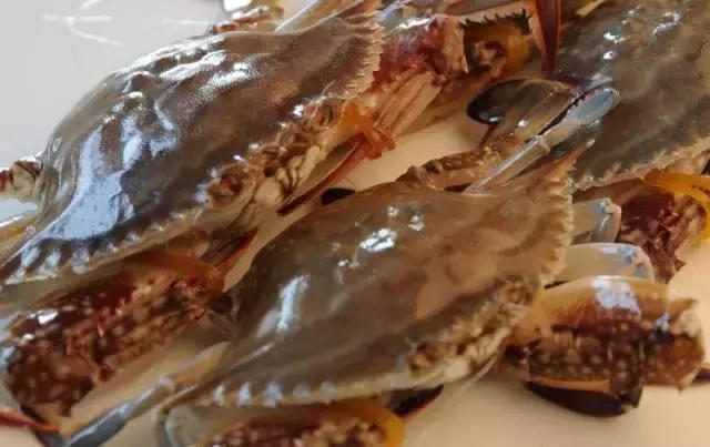 防城港怎么吃海鲜便宜不被坑,防城港干货海鲜有哪些