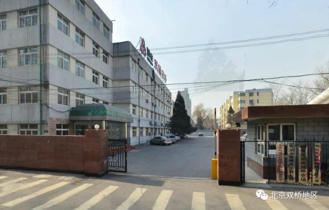 从古代到现在双桥从版图中心点看历史演变路线图