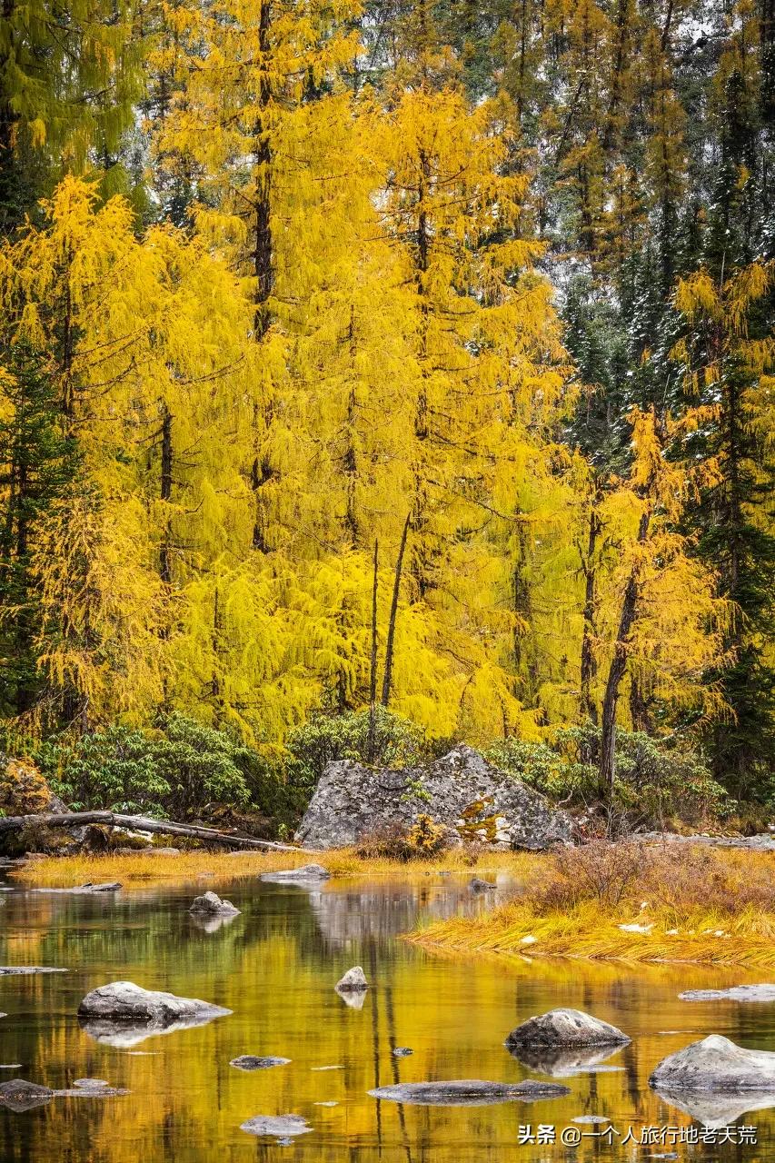 忽然想去自驾游了,想去川西看星空