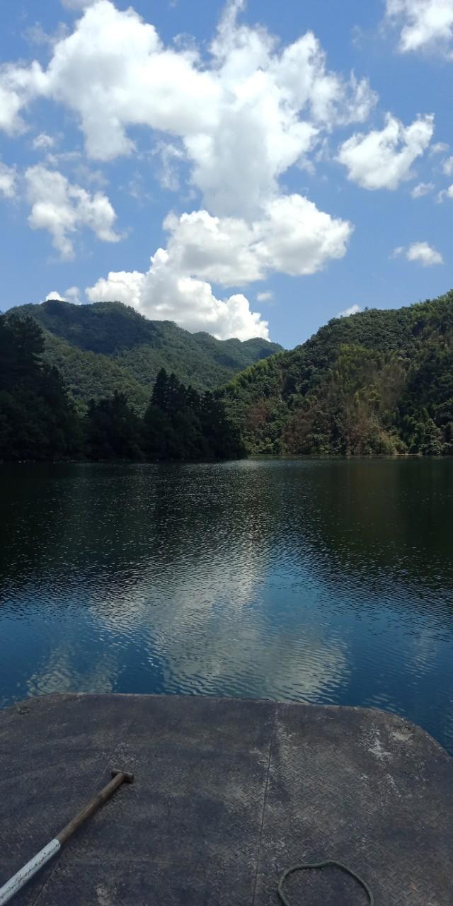 九州文学南京诗社作品,九州文学社作品