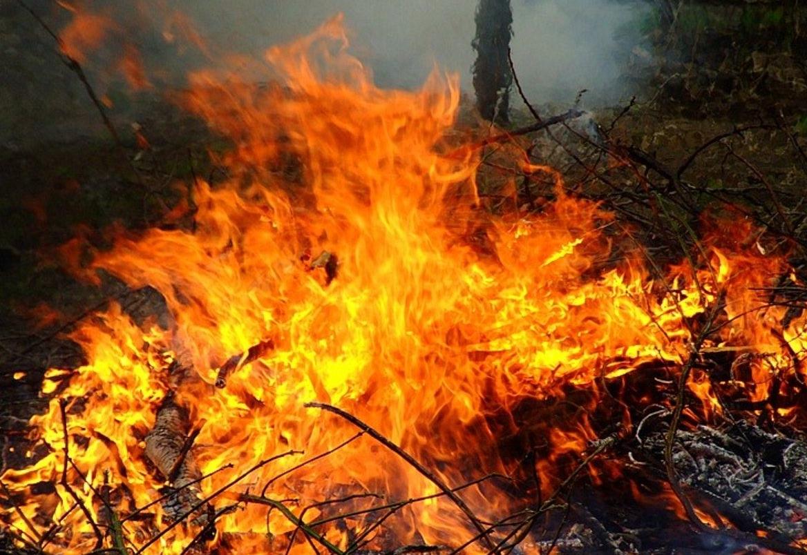 清明不方便回家乡扫墓怎么办,农村没有儿子有女儿宅基地咋办