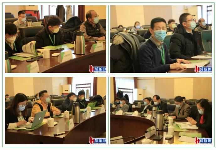 2020年全国燕麦草行情及销售,2023年燕麦草市场价格分析