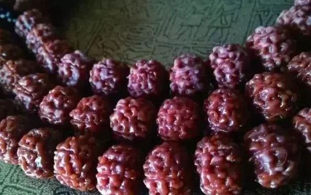 清理小金刚菩提的方法与技巧图片,小金刚菩提清理